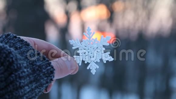 冬天的概念手牵着雪花在夕阳下的冬林视频的预览图