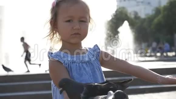 公园里喂街鸽的小可爱女孩的特写镜头视频的预览图