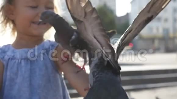 公园里喂街鸽的小可爱女孩的特写镜头视频的预览图