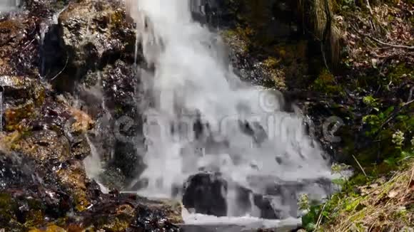 意大利阿尔卑斯山前的一个小瀑布视频的预览图