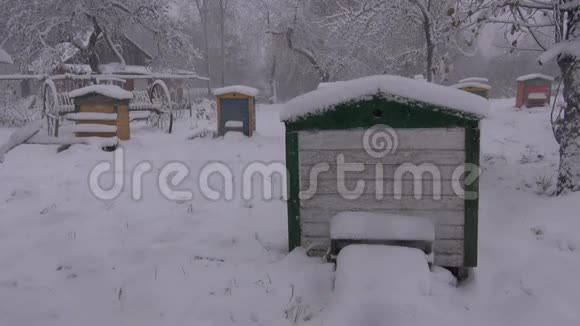 冬季花园中的木制蜂箱和降雪视频的预览图