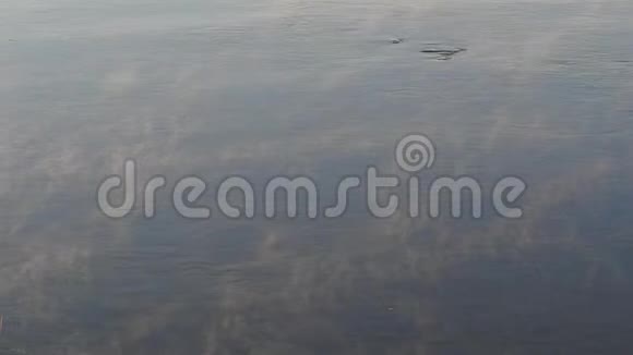 清晨的薄雾笼罩着河水清晨的雾河晨湖上的景观雾从雾蒙蒙的码头俯瞰全景视频的预览图