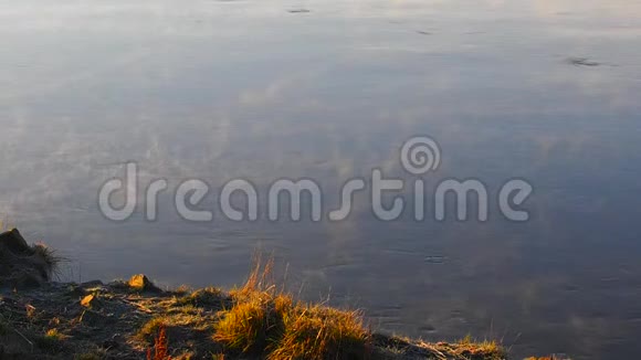 清晨的薄雾笼罩着河水清晨的雾河晨湖上的景观雾从雾蒙蒙的码头俯瞰全景视频的预览图