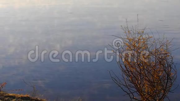 清晨的薄雾笼罩着河水清晨的雾河晨湖上的景观雾从雾蒙蒙的码头俯瞰全景视频的预览图