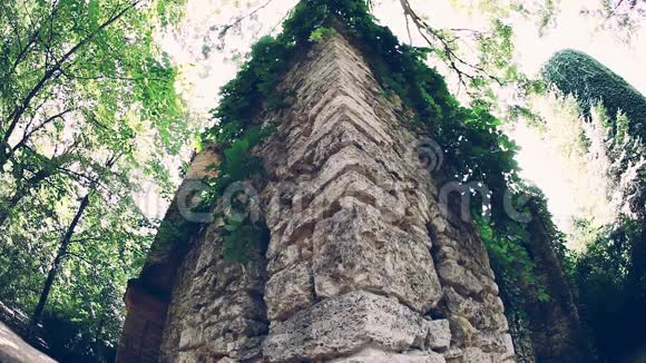 生物圈保护区阿斯卡尼亚新星绿色植物丛生的古老建筑的角石墙视频的预览图