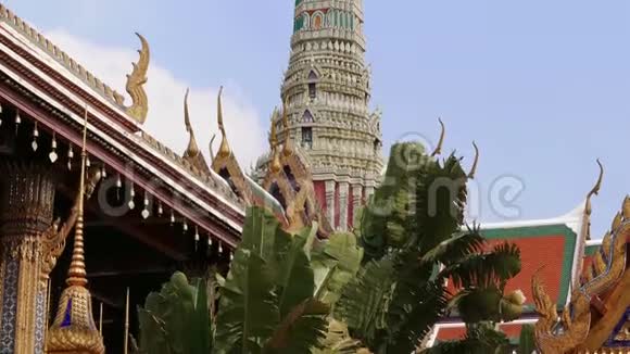 泰国曼谷大宫亚洲棕榈彩云4k视频的预览图