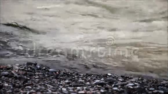 沙质河岸和河岸的景色视频的预览图