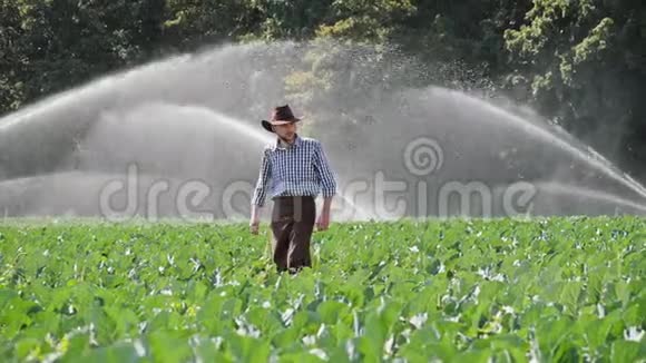 农民在水喷淋系统工作期间到他的种植园视频的预览图