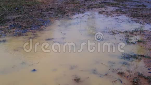 雨点落在草地上的水坑里视频的预览图