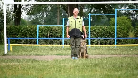 男人是驯狗师德国牧羊犬在夏天去草地视频的预览图