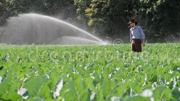 农民在水喷淋系统工作期间到他的种植园视频的预览图