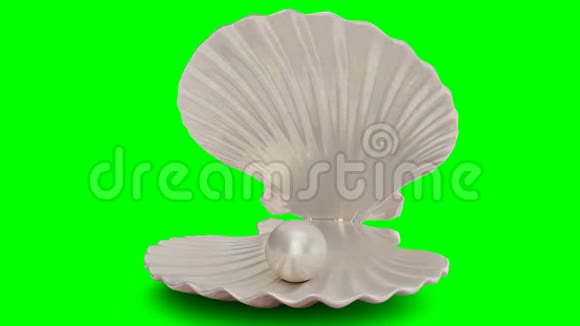 在绿色背景上分离的贝壳内的旋转珍珠珠宝珍珠珠灿烂的牡蛎珍珠球视频的预览图