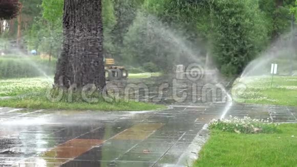 花园灌溉植物和草坪自动喷水浇水系统视频的预览图
