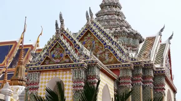 泰国曼谷大宫亚洲棕榈视频的预览图