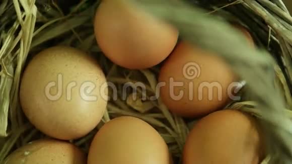 自然卵在篮子里旋转接近宏观视频的预览图