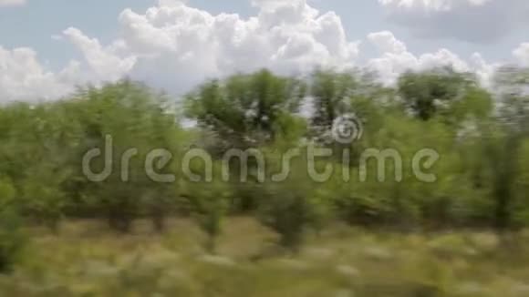 从移动列车的窗口拍摄夏日晴天森林电线视频的预览图