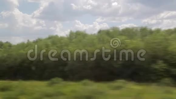 从移动列车的窗口拍摄夏日晴天森林电线视频的预览图
