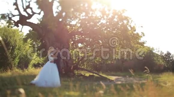 美丽的日落背景下美丽优雅的幸福新娘和时尚的新郎在森林里接吻视频的预览图
