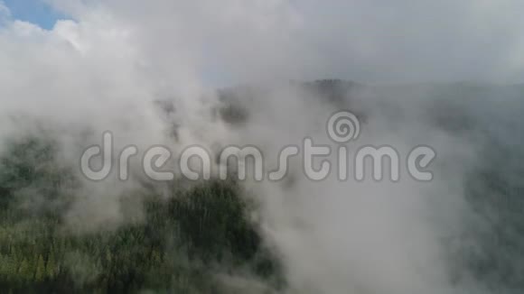 在美丽的云彩中用松林飞越高山空中景观视频的预览图