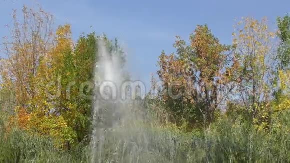 秋天公园的喷泉视频的预览图