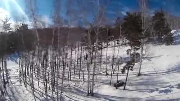 飞过一片森林视频的预览图