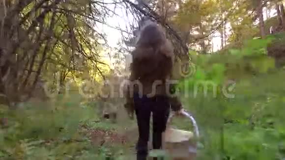 苗条的黑发女孩走在秋天的森林里拿着一个野餐篮4Ksteatam视频视频的预览图