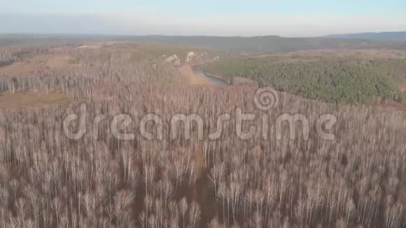 夏季穿过田野和森林的乡村道路的空中俯视剪辑带道路的林区俯视图视频的预览图