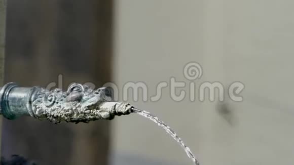 蛇头雕塑中的一个小喷泉行动缓慢视频的预览图