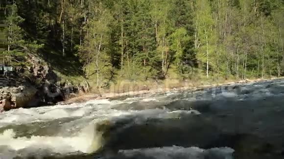 森林中的野山河相机锅从左到右显示全景视频的预览图
