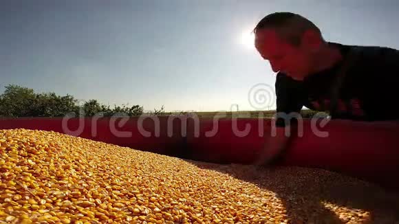 农民巡查玉米谷物视频的预览图