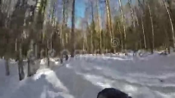 一个人在雪地森林里骑自行车从车轮的侧面看视频的预览图