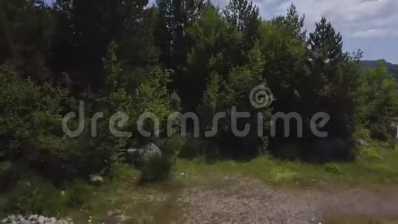 4k无人驾驶飞机拍摄的山边常绿森林和云视频的预览图
