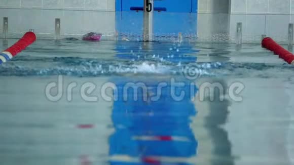 慢动作女运动员以蝴蝶的方式游泳视频的预览图