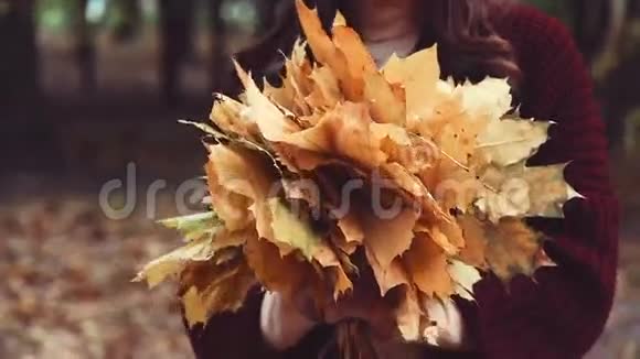 女人手里的一束黄叶秋天公园视频的预览图