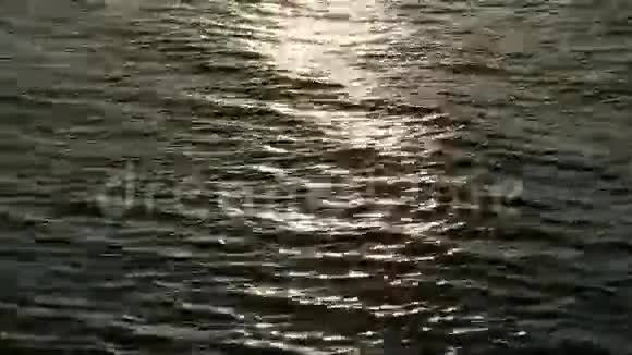 阳光下的大海视频的预览图
