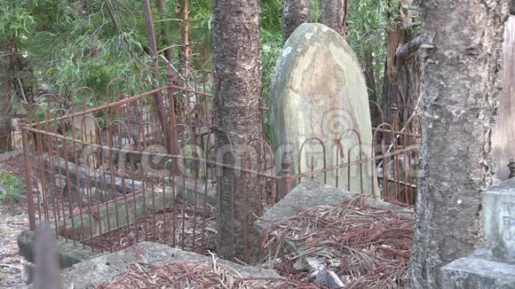 树木在破旧的墓地里与墓碑竞争视频的预览图