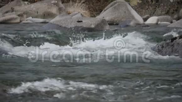 水在河流中缓慢流动视频的预览图
