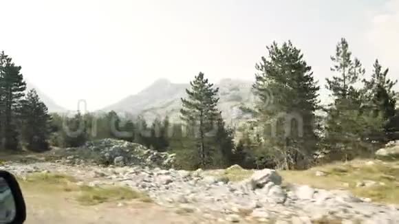 汽车侧视夏季森林快速模糊背景视频的预览图