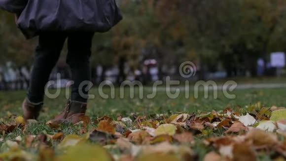 秋叶上一个小女孩的腿慢动作视频的预览图