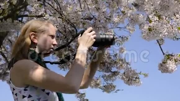 年轻女子摄像拍摄数码单反相机与樱花树视频的预览图