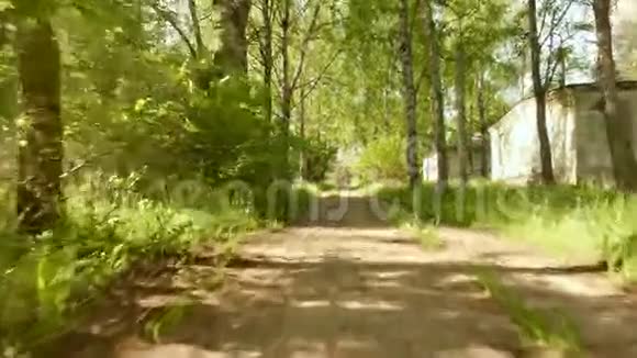 公园的小径平滑和缓慢的稳定凸轮射击白天干净明亮视频的预览图