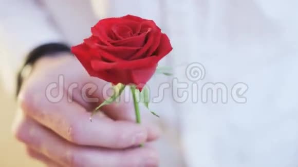 手里拿着红玫瑰的人视频的预览图