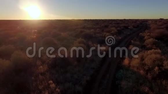 日落时空中拍摄的热带稀树草原视频的预览图