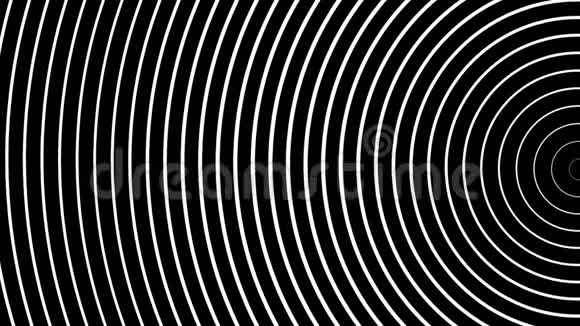 脉冲白波的辐射圈视频的预览图
