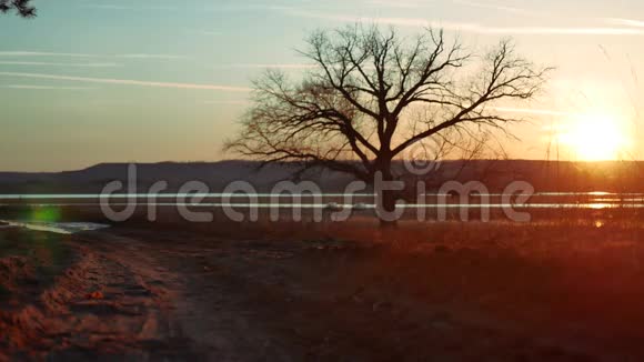 金色夕阳下的独孤树在自然路上孤独的树的剪影日落美丽的生活方式视频的预览图