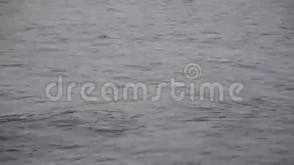 冬季河水涨潮的近景视频的预览图