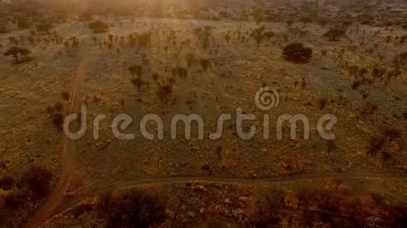 日落光线照亮了纳米比亚的大草原视频的预览图