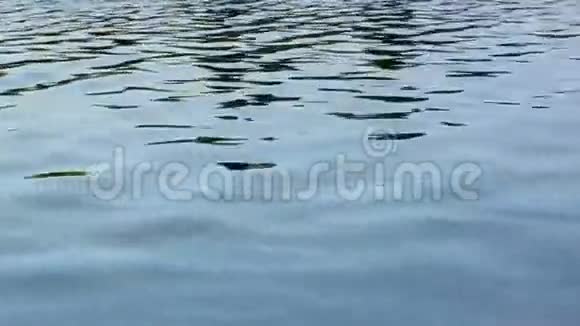 湖的倒影视频的预览图