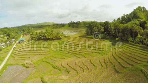 菲律宾的稻田博霍尔岛有房子的菲律宾村庄视频的预览图