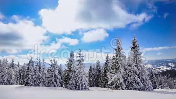 强烈的冬日阳光视频的预览图